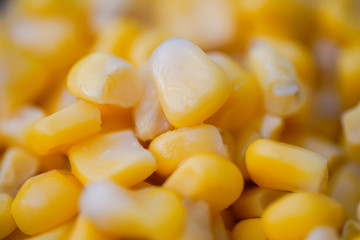 Mais, Textur, Hintergrund, Gelb, viele, Strukur, Essen