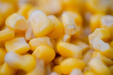 Mais, Textur, Hintergrund, Gelb, viele, Strukur, Essen