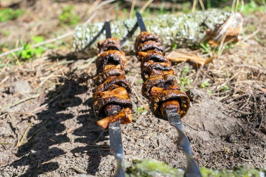 Outdoor picnic food. Grilled mushroom skewers on nature background