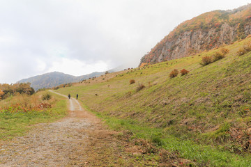 Beautiful  view of Japan autumn in Obuse park ,Nagano Prefecture,Japan.