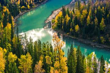 Xinjiang Kanas River autumn scenery - obrazy, fototapety, plakaty