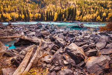 Xinjiang Kanas River autumn scenery