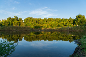 Reflection of forest and sky in a calm river in early autumn on a sunny sunset day.