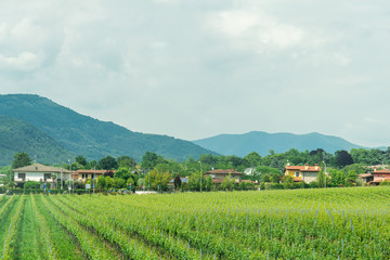 Fototapeta na wymiar Travel In Rural Italy Landscape