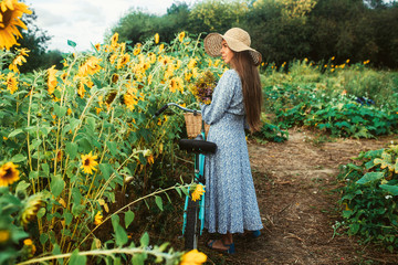 Walk among in the field among sunflowers