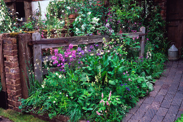 'The Old Gate' garden farmhouse garden with wild natural planting of flowers