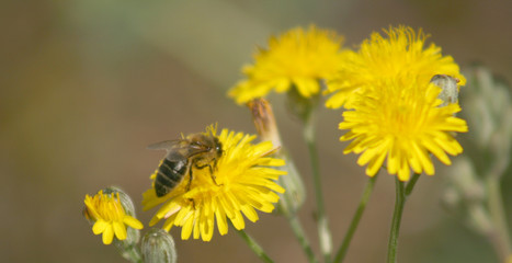 NATURE MOMENTS