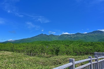 Fototapeta na wymiar 木製遊歩道から見た知床五湖の情景＠知床、北海道