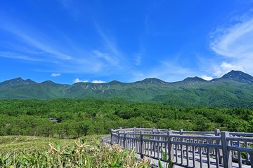 Fototapeta premium 木製遊歩道から見た知床五湖の情景＠知床、北海道