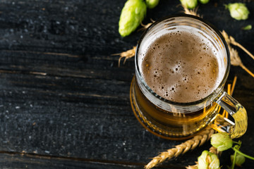 Mug of light beer on a dark background with green hops and ears of wheat copy space