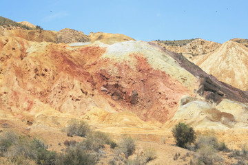 MULTICOLOR LANDSCAPE