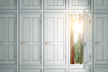 Abstract white doors to success