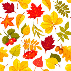 Autumn leaves vector seamless pattern isolated on white background