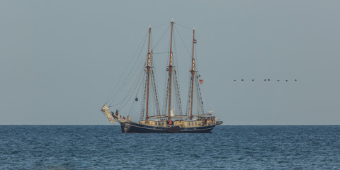 schiff