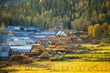 Xinjiang white haba morning view