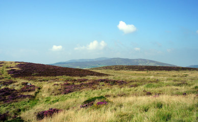 In the foggy mountains of the Cooley Peninsula.Slievenaglogh.Ireland.
