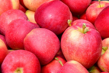 Fototapeta na wymiar Apfelbaum - Äpfel - Apfelernte - Hintergrund und Textur
