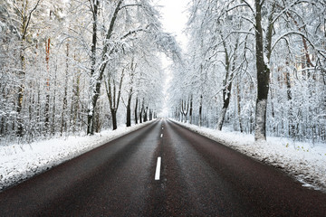 Alley of snow covered trees and the road in November. Winter wonderland in Riga, Latvia.