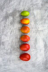 Green, yellow and red plum tomatoes in row