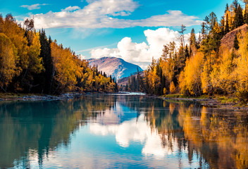 Xinjiang Kanas River autumn scenery - obrazy, fototapety, plakaty
