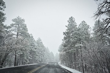 Snowy Road
