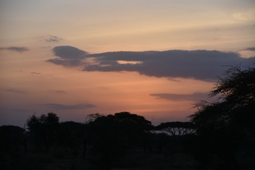 African Sunset with Trees in Silhouette, Amboseli, Kenya