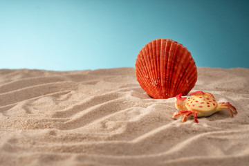 Seascape seashells sand, holiday postcard.