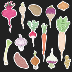 illustrations set vegetables
