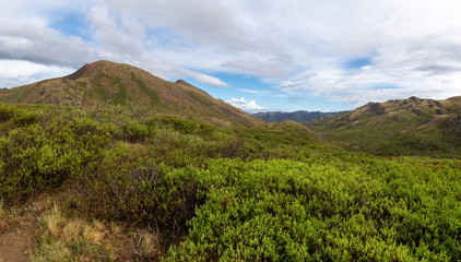 Fototapeta premium Spring Denali Landscape