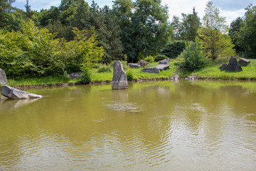 Fototapeta premium Landscape of a lake with blooming water lilies among a green meadow and dense coniferous trees. Flora of central Poland in the summer.