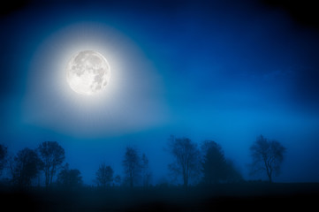 Moon over a foggy treeline, Stowe, Vermont, USA