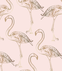 Flamingo pattern Vector. Vintage retro texture line art decors