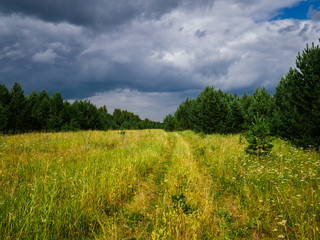 Dark clouds over the forest green grass. Sverdlovsk region