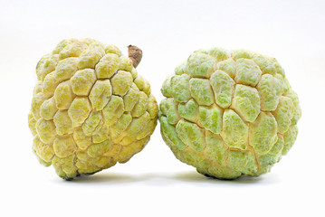 Annona or Custard apple isolated on white background