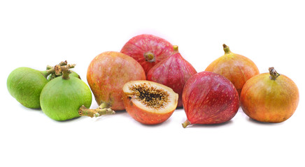 Ficus racemosa isolated on white background