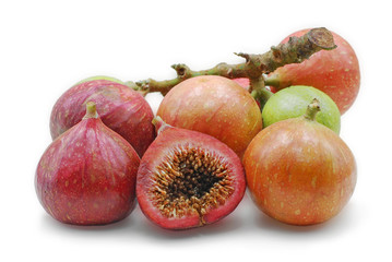 Ficus racemosa isolated on white background