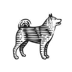 Illustration of the dog.