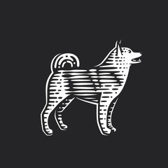 Illustration of the dog.