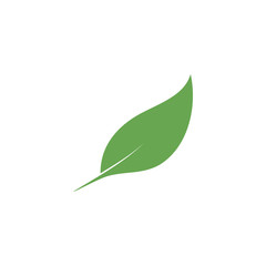 Obraz premium Leaf graphic design template vector isolated illustration
