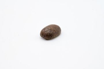grains de café