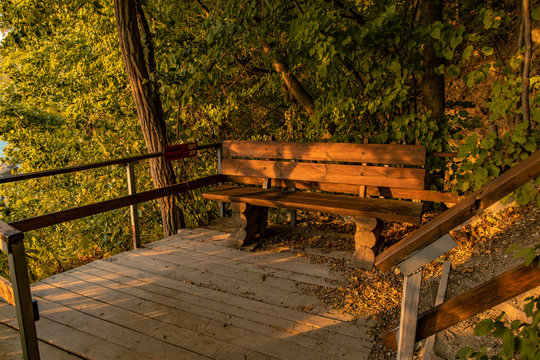 Forest Bench