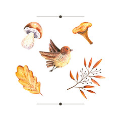 Watercolor autumn set of oak leaf, sprig with berries, mushrooms, bird. Illustration isolated on white. Hand drawn items perfect for vintage design, card, poster, stickers, fabric textile, wallpaper