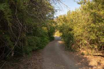 road to the canyon of Turrilla