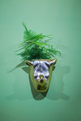 Planter, silver flower pot in the shape of a rhino head. Interesting flower pot design