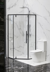 Modern bath room interior, black grid glass shower. Loft partition black cage with glass....
