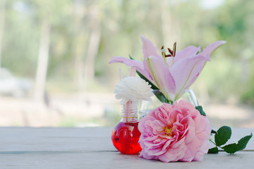Beautiful pink lilies in white pots