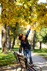 Beautiful little girl in denim shirt and jeans is trying to reach yellow leaves standing on the bench on warm and sunny autumn day. Happy childhood concept