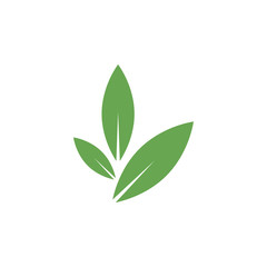 Leaf graphic design template vector isolated illustration