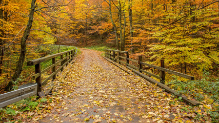 Naklejka premium Bieszczady Jesień