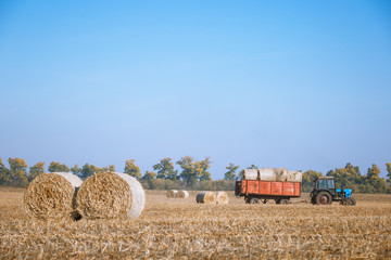 Obraz premium Hay bail harvesting in wonderful autumn farmers field landscape with hay stacks